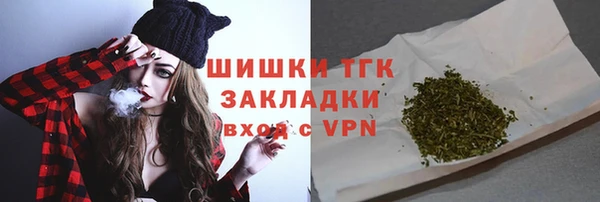 соль ск Тавда