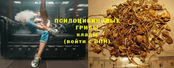 соль ск Тавда