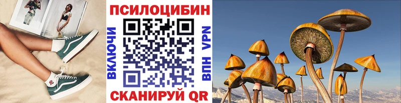 продажа наркотиков  darknet Telegram  Псилоцибиновые грибы мухоморы  Алапаевск 