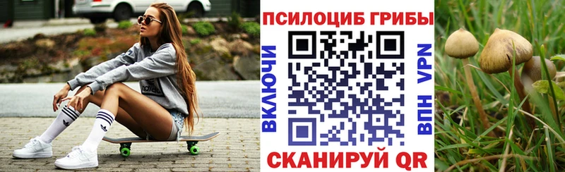 Псилоцибиновые грибы GOLDEN TEACHER Алапаевск