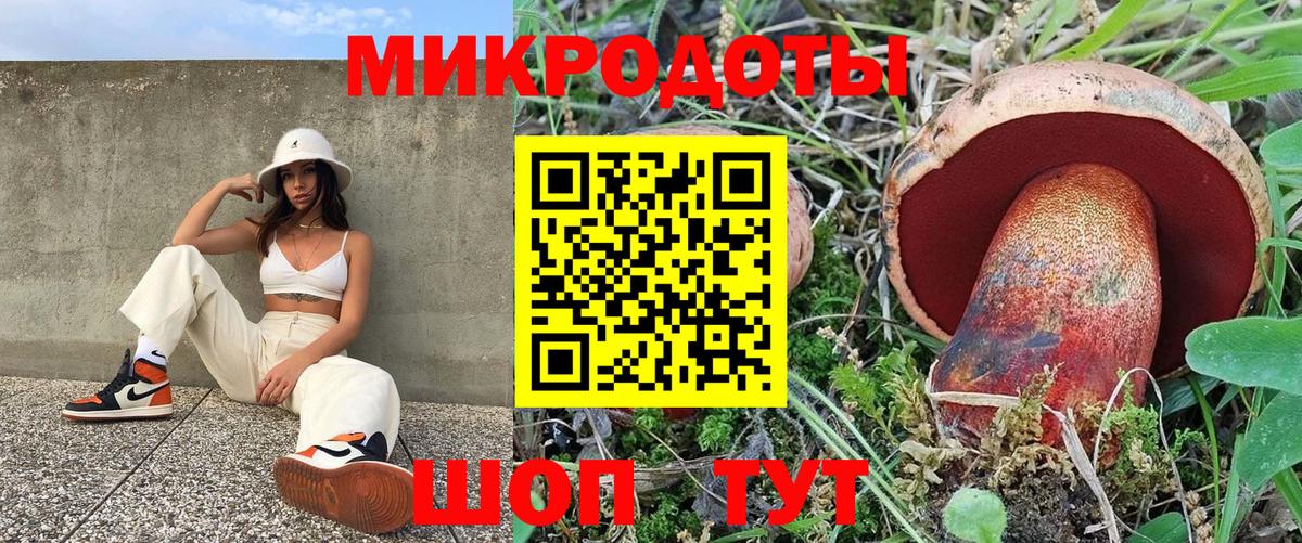 Псилоцибиновые грибы мицелий Алапаевск