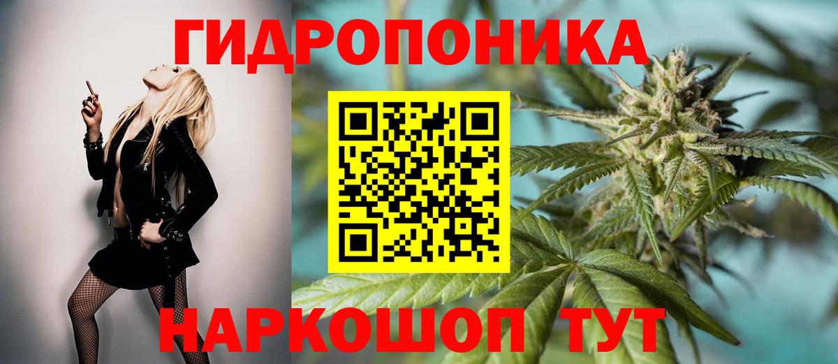 Бошки Шишки AK-47  Конопля OG Kush  Алапаевск  Канабис ГИДРОПОН 